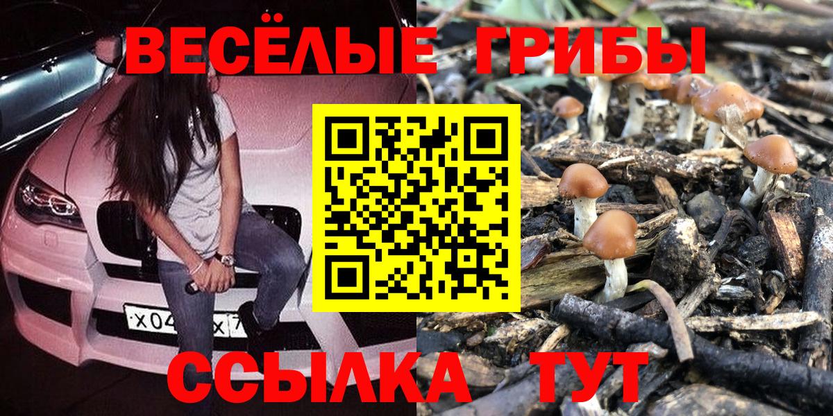 Галлюциногенные грибы GOLDEN TEACHER  Вход с VPN  сколько стоит  Тихорецк 