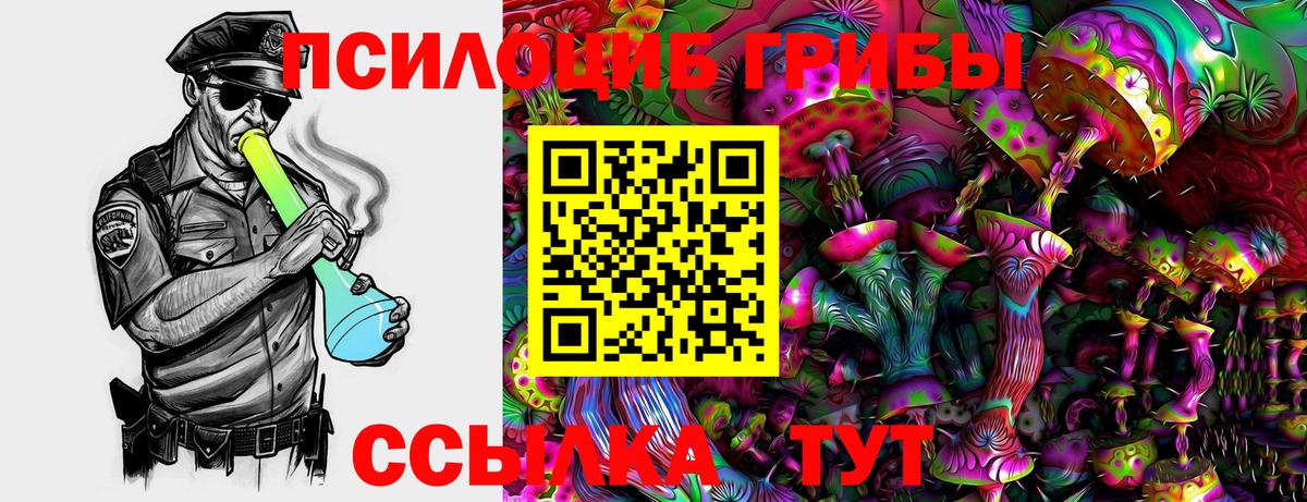 Галлюциногенные грибы Psilocybe Тихорецк